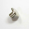 Stainless Steel Rivet FOr Auto Chassis